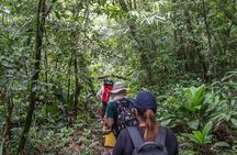 Coastal Trail Adventure in Bertioga: Exploring Natural Beauty