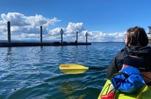 Discovery Point Kayak Tour