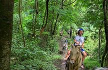 Amazing Horseback Riding in the tropical forest 