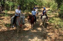 Amazing Horseback Riding in the tropical forest 