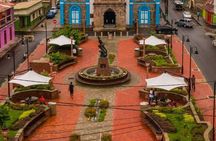 Botanical Garden and Mineral Bath Walking Tour in Soufriere 