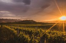 Marlborough Discovery Full Day Wine Tour - Blenheim