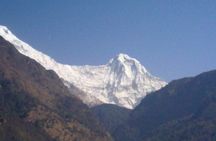 Private 4 - Day Poon Hill Trekking