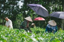 Xin Chao Vietnam 11 Days - Departure from Ho Chi Minh City