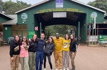 3 Days Tanzania Safari: Tarangire, Manyara and Ngorongoro Crater