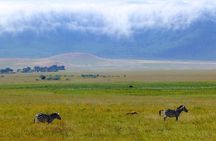 3 Days Tanzania Safari: Tarangire, Manyara and Ngorongoro Crater
