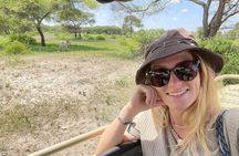 3 Days Tanzania Safari: Tarangire, Manyara and Ngorongoro Crater