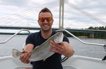 Guided Midnight Sun Fishing and Sightseeing Boat Tour