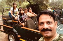 2 Days, 1 Night, Private Jaipur to Ranthambore Guided Tour