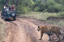 2 Days, 1 Night, Private Jaipur to Ranthambore Guided Tour