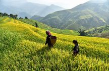 Remarkable Vietnam 14 Days - Hanoi, Sapa, Halong Bay, Ho Chi Minh
