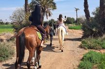 Private horseback ride in the Palmeraie of Marrakech