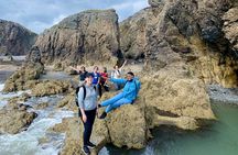 Howth Safari Hiking Tour 