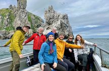 Howth Coastal Boat Tour (Ireland's Eye Ferries 50 mins trip)
