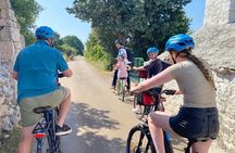 Alberobello in e-bike. Trulli, countryside, mill and donkeys
