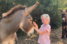 Alberobello in e-bike. Trulli, countryside, mill and donkeys