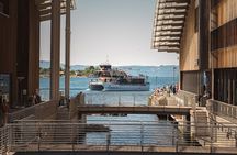 Guided Sightseeing Cruise on Oslofjord by Premium Silent Boat