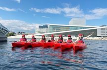 Akerselva River Kayak/Packraft Tour: Urban Adventure in Oslo