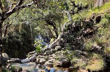 Private Full Day Tour in Mauritius