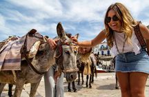 Hydra, Poros & Aegina Cruise from Athens | Official Operator