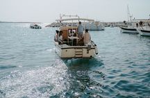 Private Boat Tours NP Brijuni and Pula islands