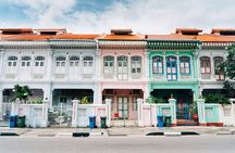 Singapore Private Street Art Walking Tour With A Licensed Guide