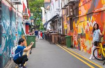 Singapore Private Street Art Walking Tour With A Licensed Guide