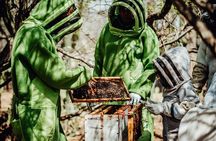 Aruba´s Bee Haven Private Adventure