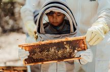 Aruba´s Bee Haven Private Adventure