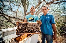 Aruba´s Bee Haven Private Adventure