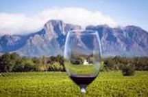 Paarl Franschhoek and Stellenbosch Wine Tasting Tour Full Day