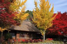 Mount Fuji & Hokane Lakes with English-speaking Guide