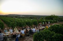 Wine Experience: vineyard, wines and food