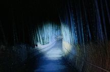 Kyoto Ghost Tour: Dark Tales, Urban Legends, Bamboo Forest Night