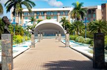 Kingston City Classic Guided Tour 