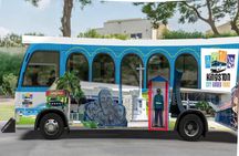 Kingston City Classic Guided Tour 