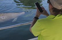 Private Crystal River Wildlife Boat Tour 