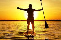 Learn Paddle Board and Explore the Mangroves of Progreso