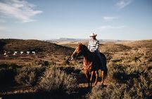 Round-Up Ride: Horseback Ride JUST 5 MILES From Grand Canyon West