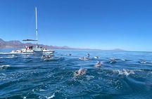 Snorkeling Catamaran Island Cruise 