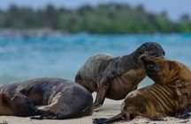 The Galapagos Penguin Route 7 Day Tour 