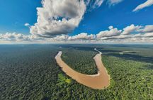 Tambopata. Sandoval lake and parrot clay lick, 3 days 2 nights