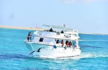 Private Boat Snorkeling Full Day Sea Trip in Hurghada