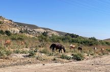 Ride in Rosarito Mountains & Port new lobster