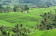 Bali UNESCO Sites: Water Temples and Jatiluwih Rice Terrace Tour