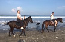 1 hour Bali Horse Riding saba beach
