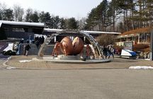 Full Day Private Tour DMZ (The 3rd Tunnel) & Suspension Bridge