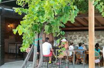 Vineyard Tour and Wine Tasting in Cavaion Veronese