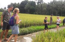 Balinesse Traditional Cooking Class Ubud