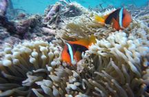 Private Bali Snorkling at blue lagoon